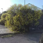 Ai Tre Archi Di Tagliaborse Σπίτι διακοπών